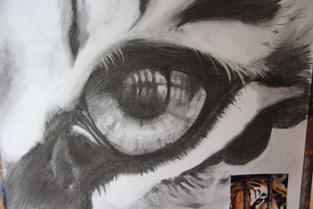 peinture-3056
