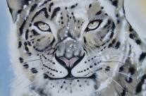 Snow léopard