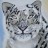 Snow leopard Shizuka