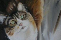 Le chat