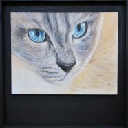 Bleu siamois