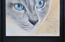 Bleu siamois