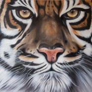 Tête de tigre