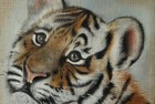 Bébé tigre