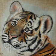 Bébé tigre