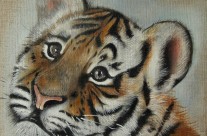 Bébé tigre