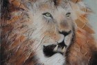 Tête de lion