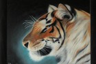 trilogie tigre 1