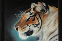 trilogie tigre 1